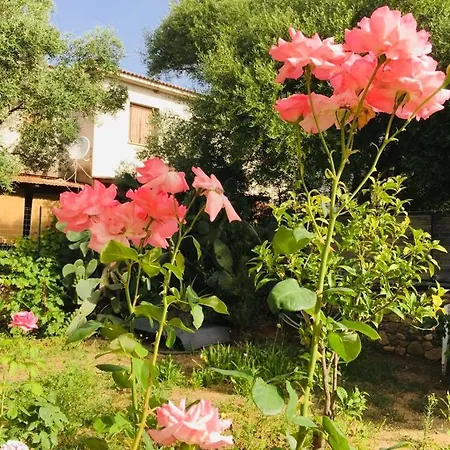 Bed & Breakfast Sa Domo 3*